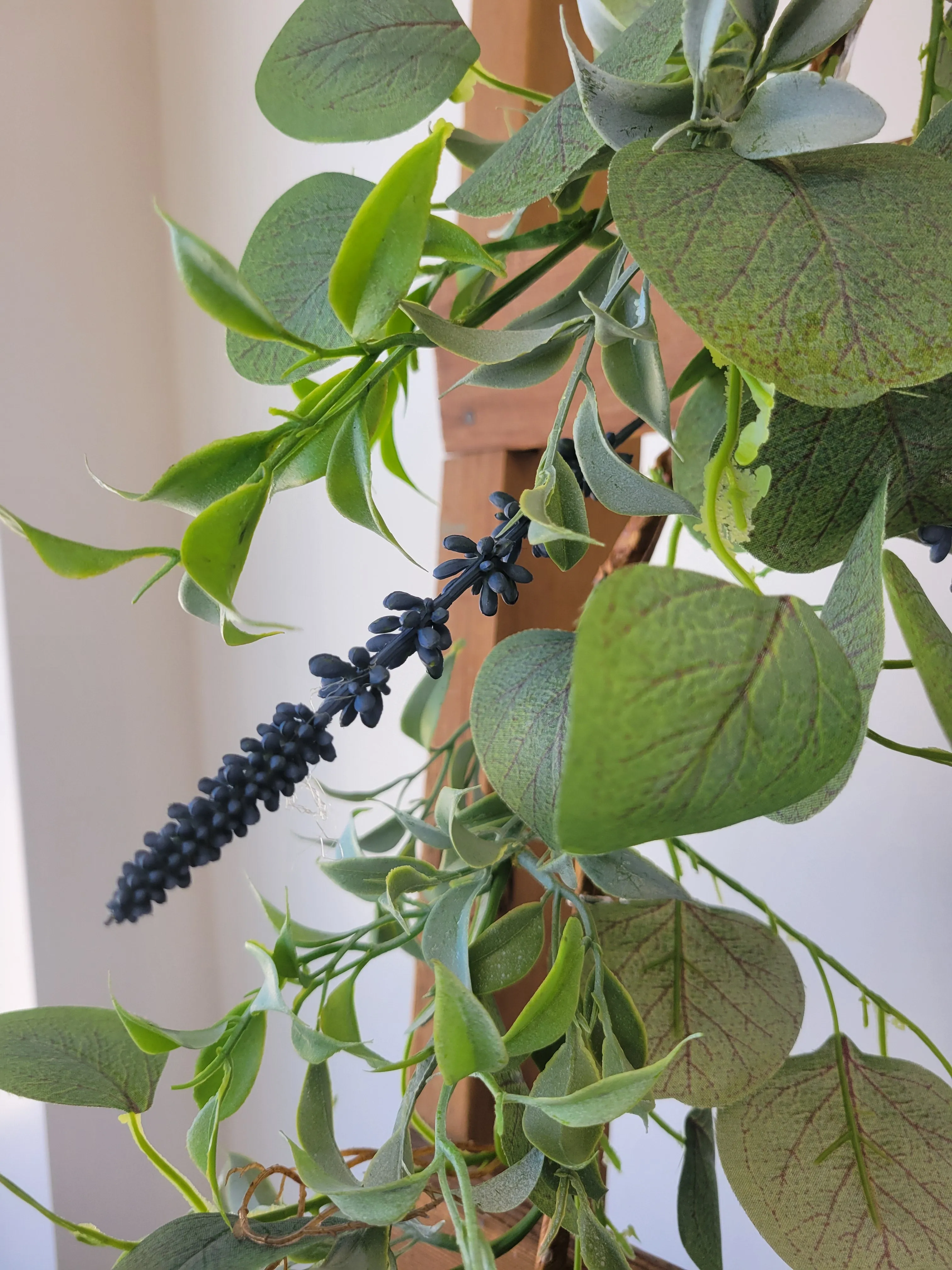 6' Speedwell Eucalyptus Garland
