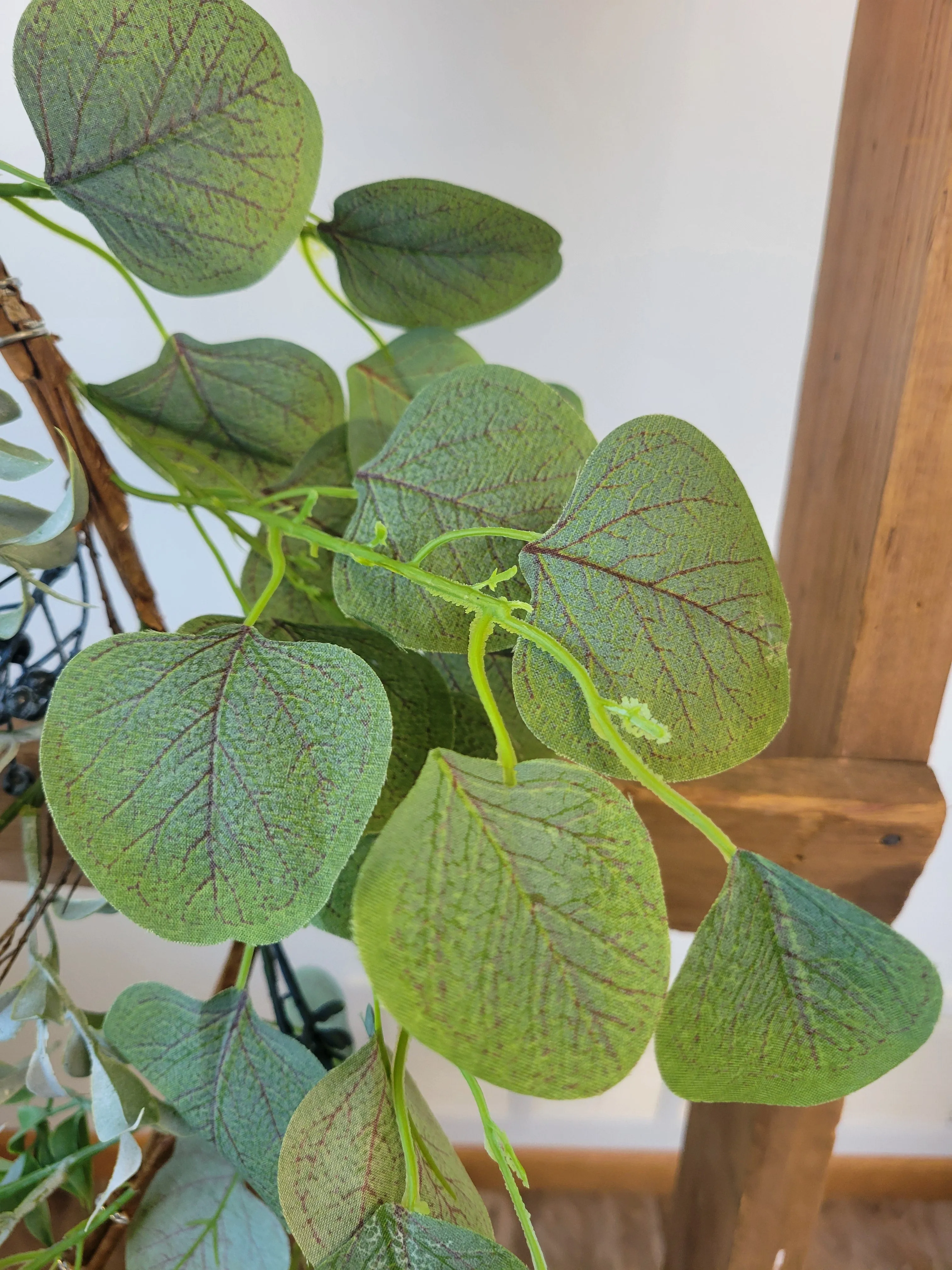 6' Speedwell Eucalyptus Garland