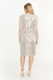 Frank Lyman Nude Silver Knit Dress
